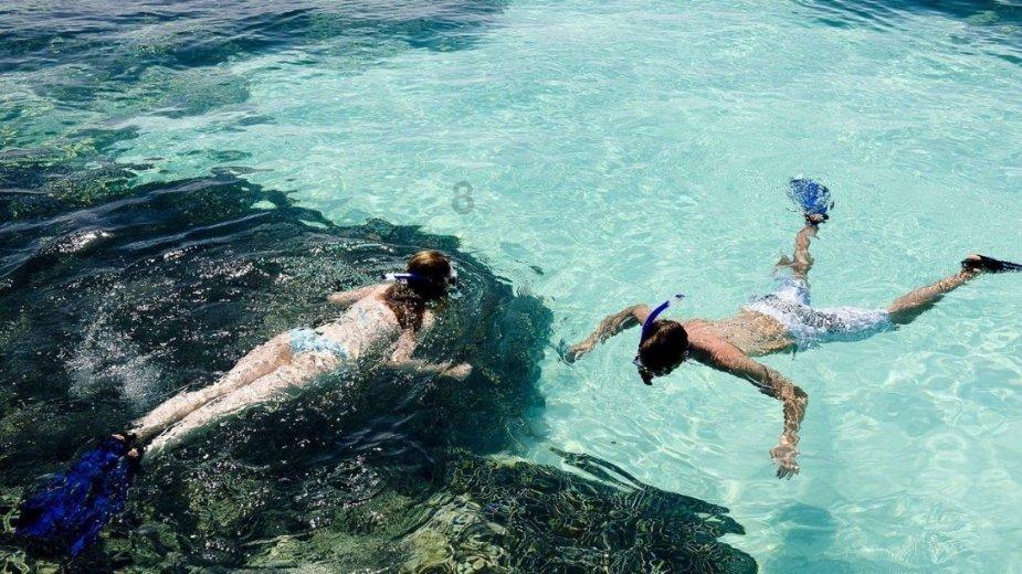 中国象棋速测吧